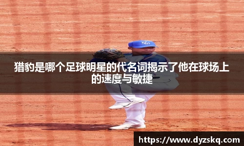 猎豹是哪个足球明星的代名词揭示了他在球场上的速度与敏捷